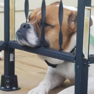 Meet your Posher, Doris